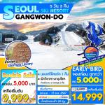   SEOUL GANGWONDO SKI RESORT 5D3N BY JC  ҹʡ  - ʵ - ͧشʵ @ҧ COEX MALL ǡاẺдµͧѹ (SEOUL CITY SELF TOUR) ٹͧҧ - ٹع - ٹʴشͧ͹SESA LI