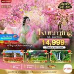 շ շŷࡷ wetravel wetraveltogether չ  BT-KMG43_KY Ȩ عԧ ԧ 觴͡ҹ 4D3N BY KY   ͧعԧ - ͧԧ  ʹ (öẵ)  ͧͷҺҹԧ  طҹԧԹ - غ