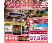 ���������-����-���Ҿ���-�Ѵ�䴨�-�Ե�����ҷ������ʴ����ҡҪ����-�ҹ��дѺ�-���Ҥ�����-�Ҥ������-����ѹ�Ҩԫ٨�-���͹�����-���ȡ�Ŵ͡����-���¹���Ըժ������׭����-�Ѵ������Թ-����������ب�-��ͻ��駪Թ䫺Ҫ�