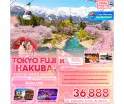 ���������-���Ե�-�ѧ��Ѵ䫵���-��������-�ѧ��Ѵ�����-�ثѷ���͹��-�ѧ��Ѵ�ҡ���-