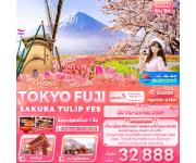 ���������-�ѧ��Ѵ �Ժ� � Sakura Tulip Festa in Chiba 2026 � ����� � �Ѵ�ҫҡ��� � ��ҹ�Թ�١� � �ѧ��Ѵ���ҹҪ�