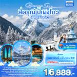 �����չ-�ԧ�� - ��������س�+�غ�ҫǧ������-����§����¹-�ٻ���Ᾱ����ſ��-�ط�ҹ����ԧ��-���ͧ��ҳ�ǹ����¹-���ͧ��ҳ������-�ԧ��-�֡ὴ�ԧ��-SKP-���ӡ����ɳ���Ᾱ���-������Թ��������-������Թ�ع��-Ᾱ����ѡ��չ�֡ IFS