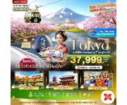 ���������-�����-�����Һ�Ъ�����-��������¿�������-�غ�����Ҥشҹ�-��������ҷ����-����俿٨Ԫ��5-�ѧ��Ѵ�Ԫ��͡�-�ش����ǫҡ�����������������-�����ҹ������ͪ����Ѥ�-�����-�Թ�١�-�Ѵ�ҫҡ���-����ҡ������