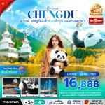 �����չ-�ԧ��-�ط�ҹ��觪ҵԻ���ԧ��-����§����¹-оҹ˹ҹ����-��������س�-�غ�ҫǧ������-�غ��Ᾱ��ҵ���§����¹-��������ҧ��¹���-��¡��ҧ���᤺-�֡ὴ�ԧ��-�Ѵ��ҩ��-������Թ�ع�����-Ᾱ����ѡ�׻չ�֡-������Թ��������