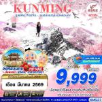 �����չ-�ع��ԧ-��˹ѡ�ͧ�Թ���¹-�ǹ��ӵ��ع��ԧ-��ҹ���¹-���ʵ�������-������������Ǩ���-���͹����ԧ-�����ҧ��Żҡᴧ-��е���ҷͧ���¡-������Թ˹ҹ�ԧ���-��ͻ����