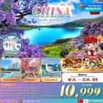 �����չ-�ع��ԧ-��˹ѡ�ͧ-�ǹ��ӵ��ع��ԧ-�ǹ�����-���ͧ��ҹ���¹-�������Ǩ���-�Ѵ��ǹ��-��е���ҷͧ���¡ - ��ͻ��駶�����Թ-��ͻ����-�ǹ�͡�����Ĵ١��