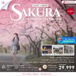 �����չ-���§���-���§��� ����ԡ 乷� - ����ҹ�ԧ-�ǹ�����-�Թ��¹��� - ��ٺ�ҹ��ҳ���������-�Ѵ�ŧ���-������ѧ-ʵ���Ѥ-���������-�Ѵ����ѹ-������Թ��¹���Ϳҧ-��Ҵ�ԧ��ѧ������-�����ء