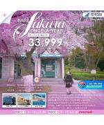 �����չ-�ͤ�¡������-����Ҵ�Թ��-�ٻ��鹻�����-Ỵ��¹��������-�ǹ����¹䶫ҹ-�����ҳ����ҧ-WEI HAI WINDOW -������Ǩ����-���ͺ�����-��ҹ������Ϳҧ-�Ҵ���ªҨ������-����ŧ��§-�ԾԸ�ѳ�׷�������������ѹ-�оҹ��ҹ����-������ҹ-�ʶ�ST.EMIL-��