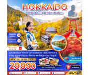 �շ����� �շ����ŷ�ࡷ����� wetravel wetraveltogether ��������� ZGCTS-2611VZ-�͡�� �ѻ��� �͵��� ������ ���͡��� 5D3N BY VZ  �͵��� - ��ͧ�͵��� � �ԾԸ�ѳ����ͧ����� - �������Ҫ� � �ç�ҹ��͡��ŵ � ���͹ �����  ��ǵ���� - ����������¹�