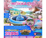 ���������-�������� - ��⡡شҹ� �������͡�� � ������ҡ�����ͧ��ѧ����͡��-��ǵ���� � �ǹ������ - �͵��� - ��ͧ�͵��� - �ԾԸ�ѳ����ͧ����� � �������Ҫ�