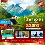 �����չ-�ԧ��-���ͧ����§����� � � �ѵ������ҧ��¹�� � ���Ᾱ����ſ�� � ࢵ�ط�ҹ ��������س�-�ط�ҹ��������س� � �غ�ҫ������� (���ö�ط�ҹ) � ���ͧ���� ����¹