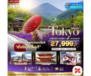 ���������-���Ե�-�Ѵ�ҫҡ���-����ҡ������-���ͧ�ѵ������-���͹�����-����ҷ�ѵ������-�ѧ��Ѵ�ҡ���-�ط�ҹ����⤨�-�ǹ���ԪԻ���-����俿٨Ԫ�� 5 -�Ԩ��������-���ͧ�����-��ͻ��駪Թ�ء�