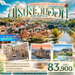 ��������û-���¹��-���������-ૹ෹����-�ٴ��ʵ�-��ͧ��������Ӵҹٺ-OUTLET-��ҵ�������-�����-��ҡ-�оҹ�����-������������-����ҷ��ҡ-�ʡ������Ϳ-��������-�ǹ������