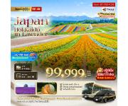 ���������-�����ҹ�����-��͹���տ�Һ����-��ӵ���������-�ԧ���������-������-�ǹ�͡���ԡ�����͡�-��Եп����-�����Һ���-�ٹ��͹��ѡ��ѹ�������ЪԹ�ѹ-⹺�ື��-�ѻ���-����˭��ҵ���䴺ط��-�͵���-�������Ҩ�-����͵���