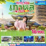 ����������-INSPIRE MEDIA ART-STARBUCK AEGIBON FEACE ECOPARK - SUWON -������ҡ����ҫͧ-��ͧ��ش SUWON -STARFIELD -YONGIN BIRCH FOREST