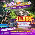 �����չ - �����-����ŧ-�ط�ҹ�������-�оҹ���ä�-�غ�ҹҧ���-ö俿���ҧ�ҷ���-�֡����º-������Թ��¿ҧ����-˧��ҵ�-�֡22���-THE RING MALL 