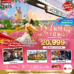 �����չ-��ժҧ-�����ҹ�ҹ����-�ǹ�������������-ö���¿����餹�Ѻ-�Ѵ�����-�оҹ������§��-��͡�����-������Թ��§���-�ǹ�͡�����һ������