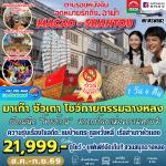 �����չ-�����-�����-�����-���§�٫��-��Χ��-�����ҳ����ǡ���ǹ-��ѧ���-��ҹ��С����ѧ����-������ͨҧ��Թ-�ԾԸ�ѳ���¡�ǹ-�����-�����ҹ��ҳ�ŧ��-�������ѧ������-�оҹ��§����-�Ѵ���ǹ-�ç�Ф��ͤ�����ء-�����Ԫ��������Ū�ͻ��駶�����