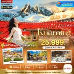 �շ����� �շ����ŷ�ࡷ����� wetravel wetraveltogether �����չ ���� BT-KMG55_KY ���Ȩ���� �ع��ԧ ������� ᪧ����� 6D5N BY KY  ��˹ѡ�ͧ�Թ���¹ � �ǹ��ӵ��ع��ԧ � ���ͧ������� �Ѵ������ǹ��� �� ���ͧ��ҳ������� �� ਴������ͧ�� �� ���ͧ��Ҩ��