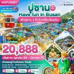 ���������� - �����ҹ�Ѳ���������͹-���ʡ�������-��Ҵ���ع�-�Ѵ�δ�§�ا�ҹ-�Թ��蹪���Ҵ��ѧ����-ö俨���ʡ��᤻���-��ͻ��駻�ʹ����-BUSAN TOWER-�ط�ҹᷨ��