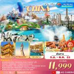 �շ����� �շ����ŷ�ࡷ����� wetravel wetraveltogether �����չ ���� AQ-CAN004 ��ҧ�� ����� �ǹʹء�ҧ�ŧ ��ͻ�������� 4D2N BY AQ   ���ͧ��ҧ�� � �ѵ��������ԧ � ��ҧ�ҷ������� (��ҹ�͡) � ���ͧ����� � ���ͧ����� � �THE PARISIAN(��ҹ�͡)